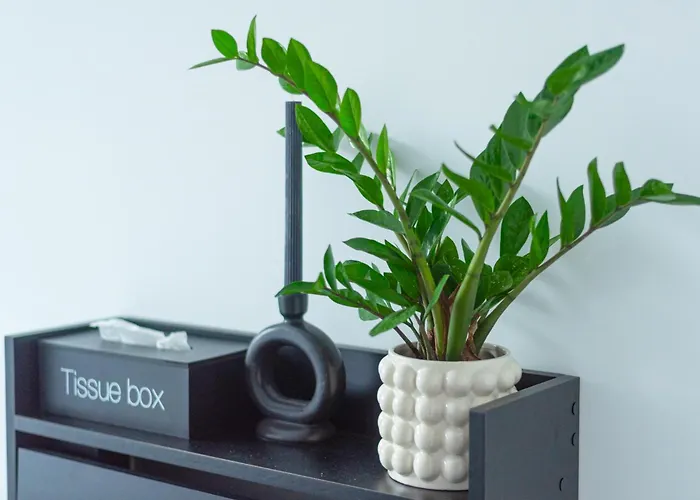 Appartement Czysta Modern By Bookinghost Wrocław