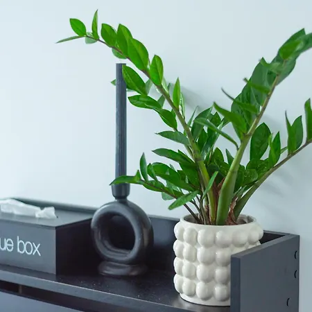 公寓 Czysta Modern By Bookinghost 弗罗茨瓦夫