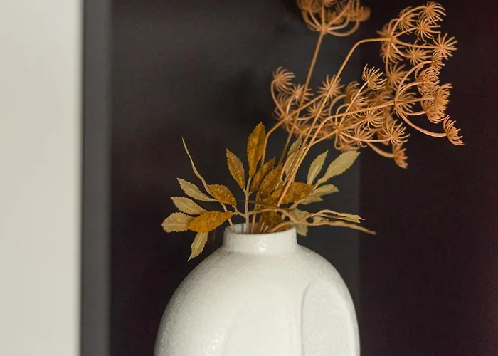 Czysta Modern By Bookinghost 브로츠와프